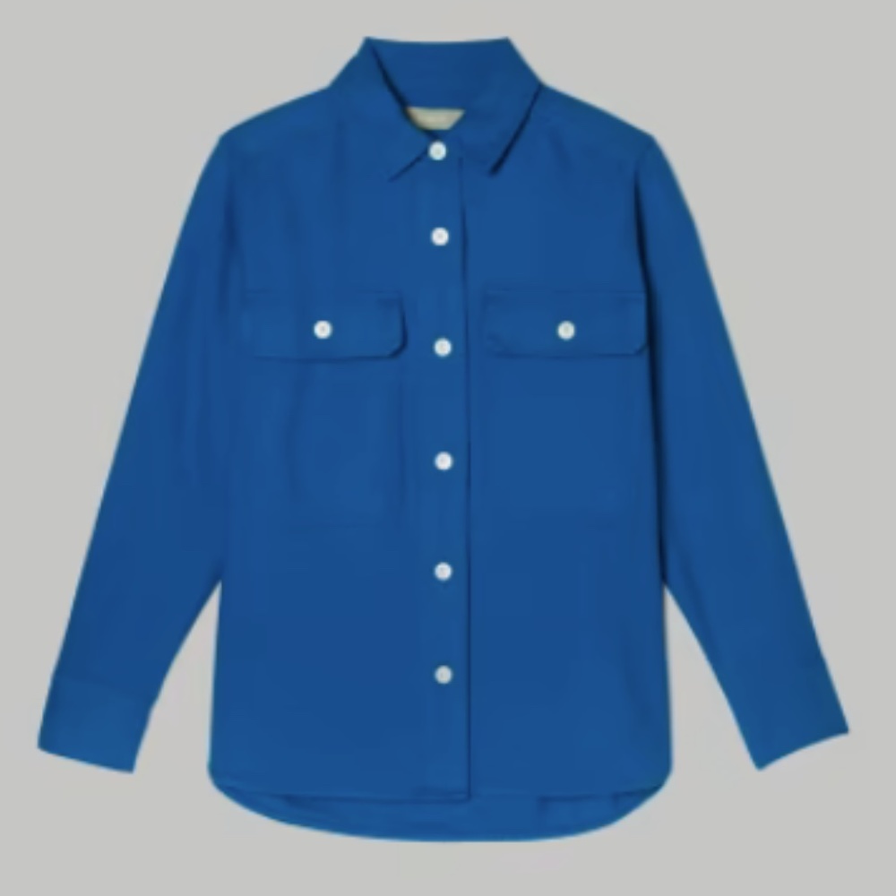 NWT Everlane classic cotton flannel shirt -  blue